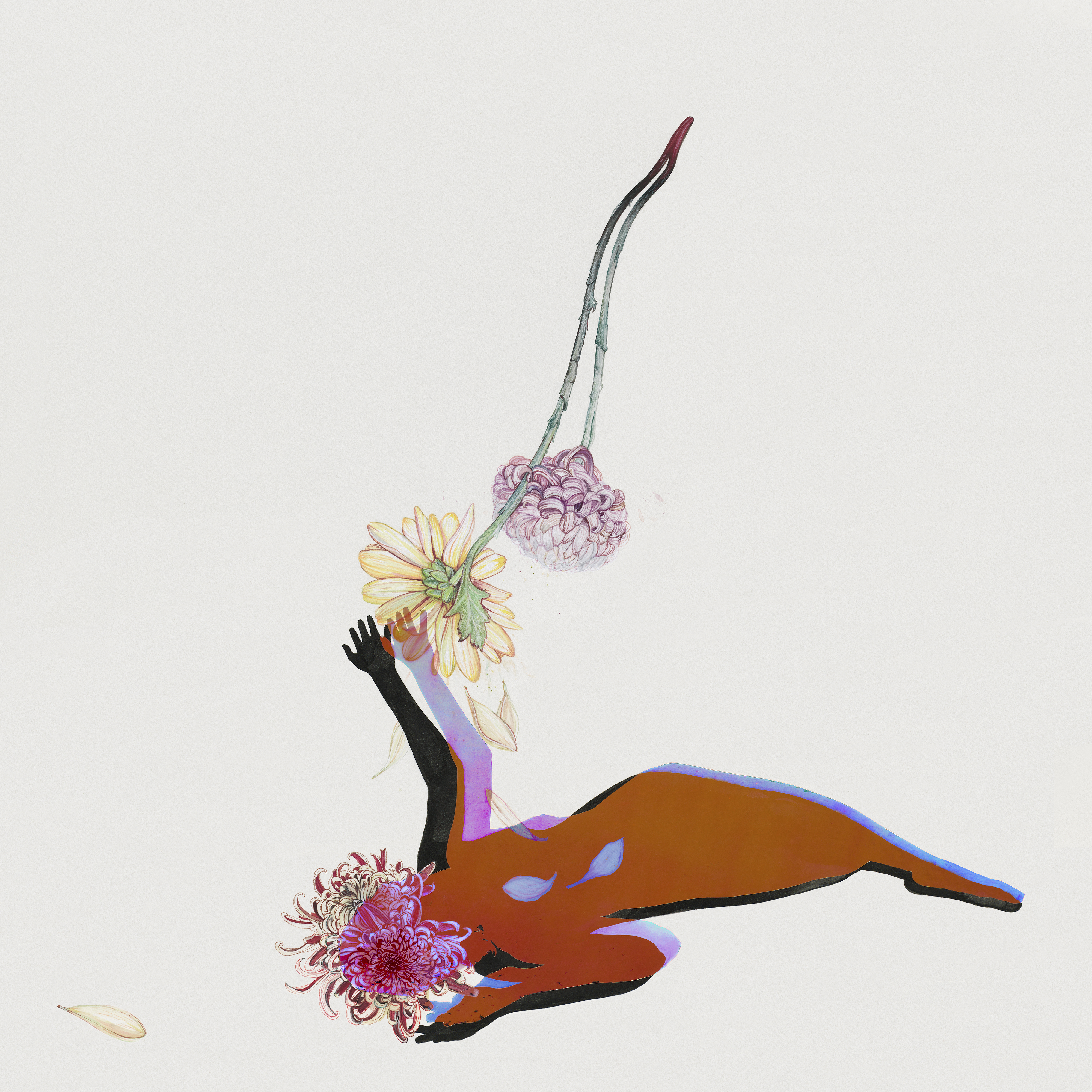 FUTURE ISLANDS - THE FAR FIELD (Vinyl)