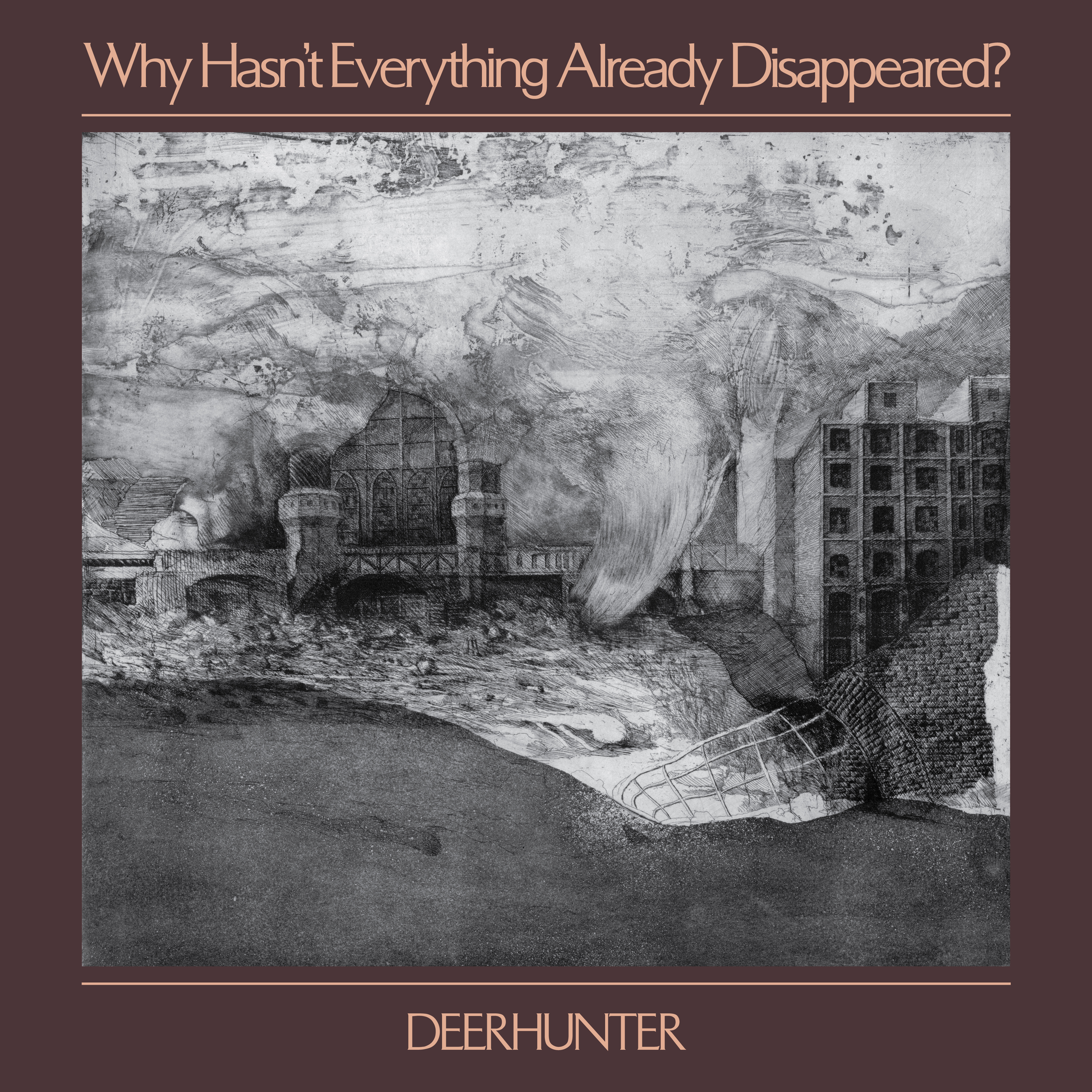 DEERHUNTER - WHY HASN'T EVERYTHING ALREADY DISAPPEARED? (GREY VINLY) (Vinyl)