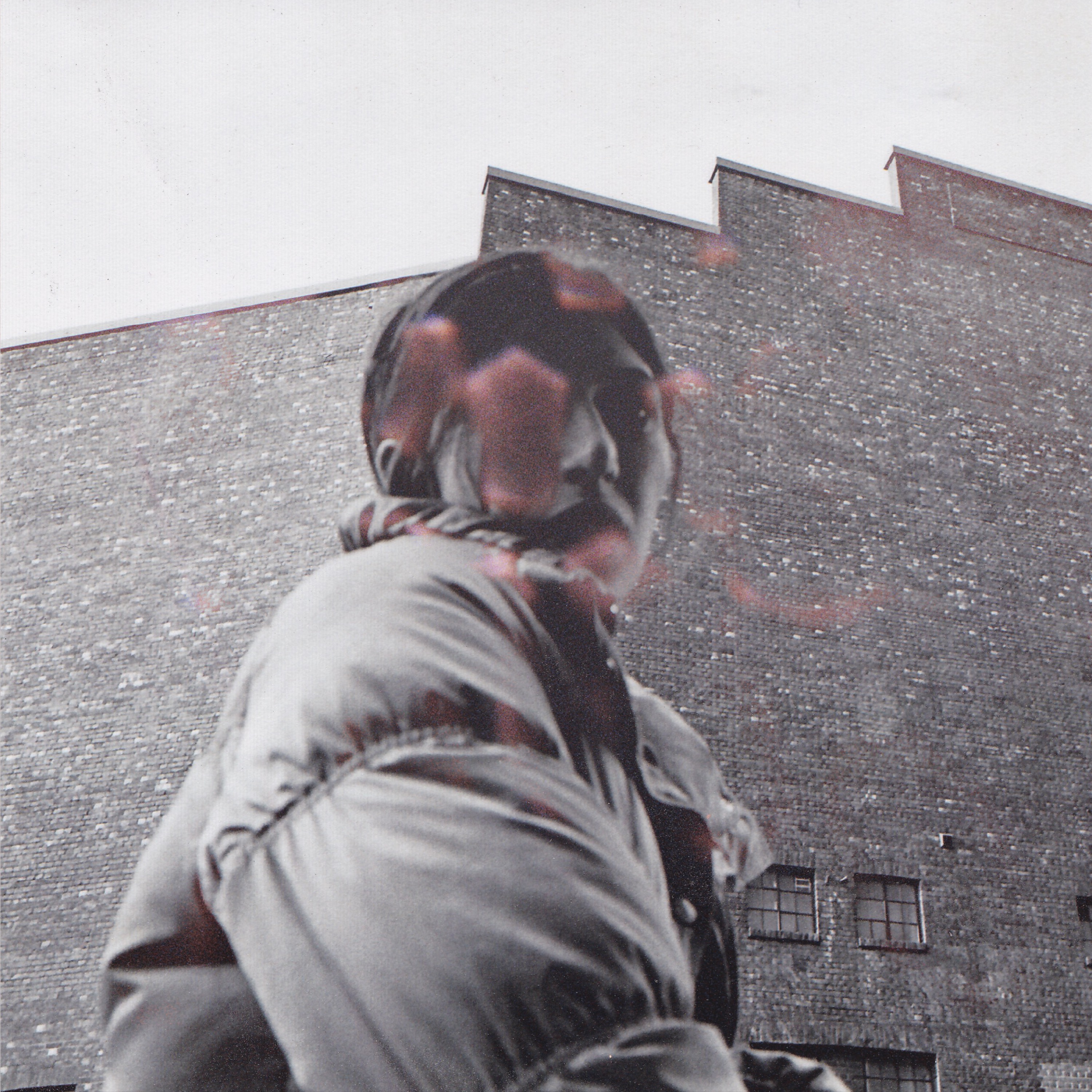 ALDOUS HARDING - WARM CHRIS (Vinyl)