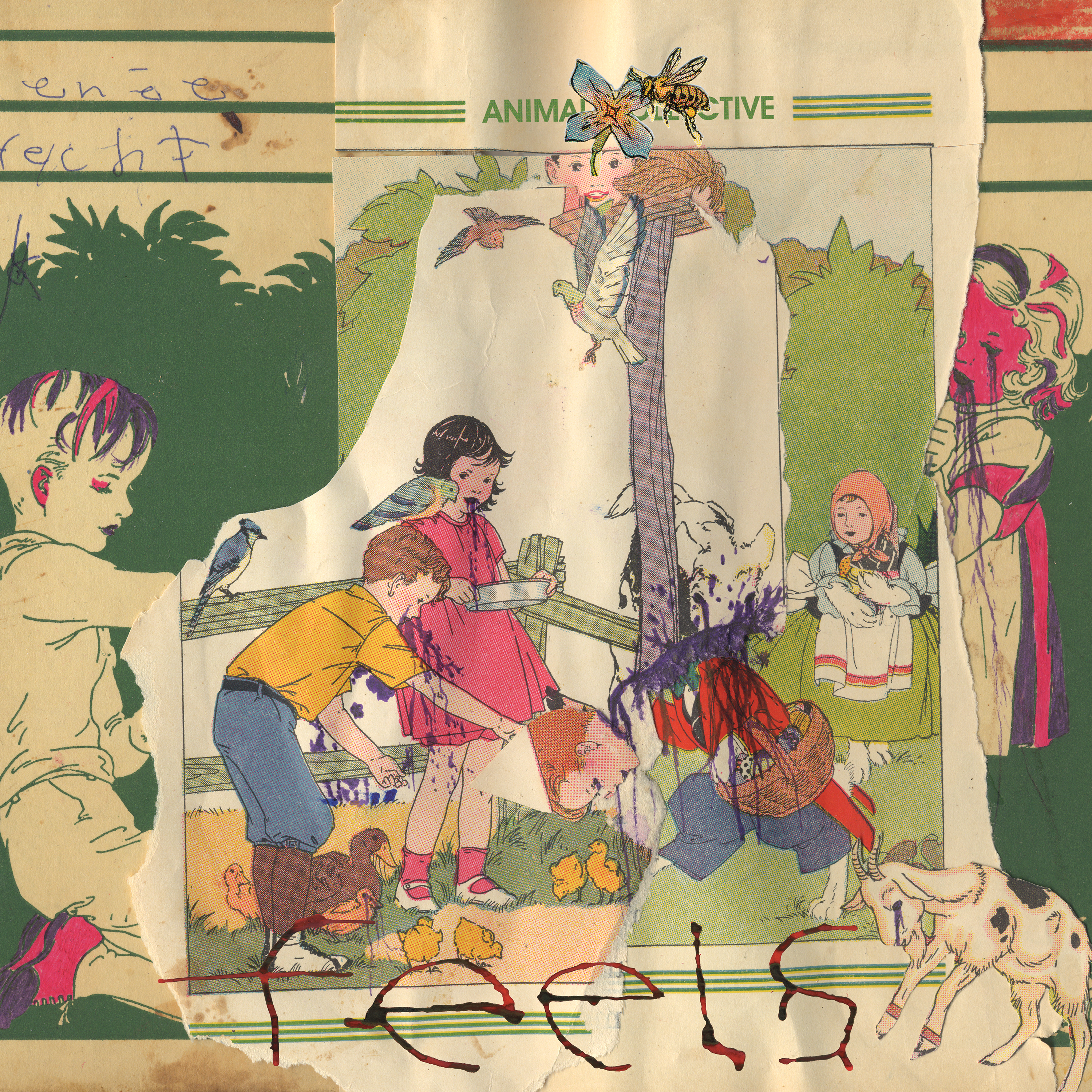 ANIMAL COLLECTIVE - FEELS (Vinyl)