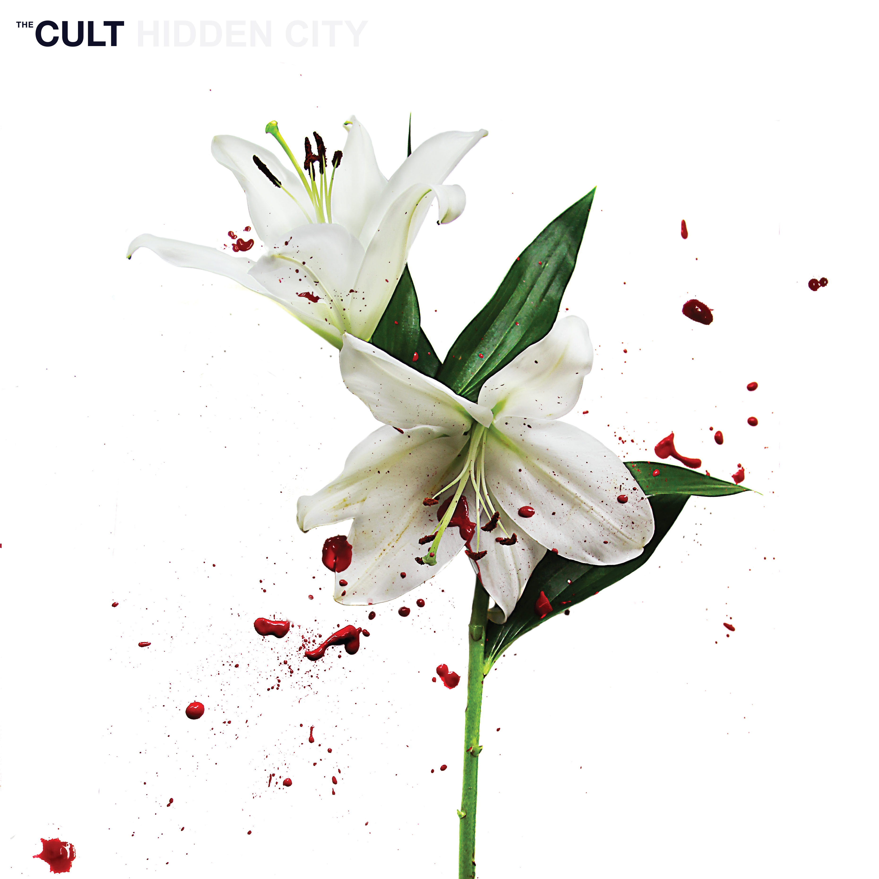 CULT THE - HIDDEN CITY (Vinyl)