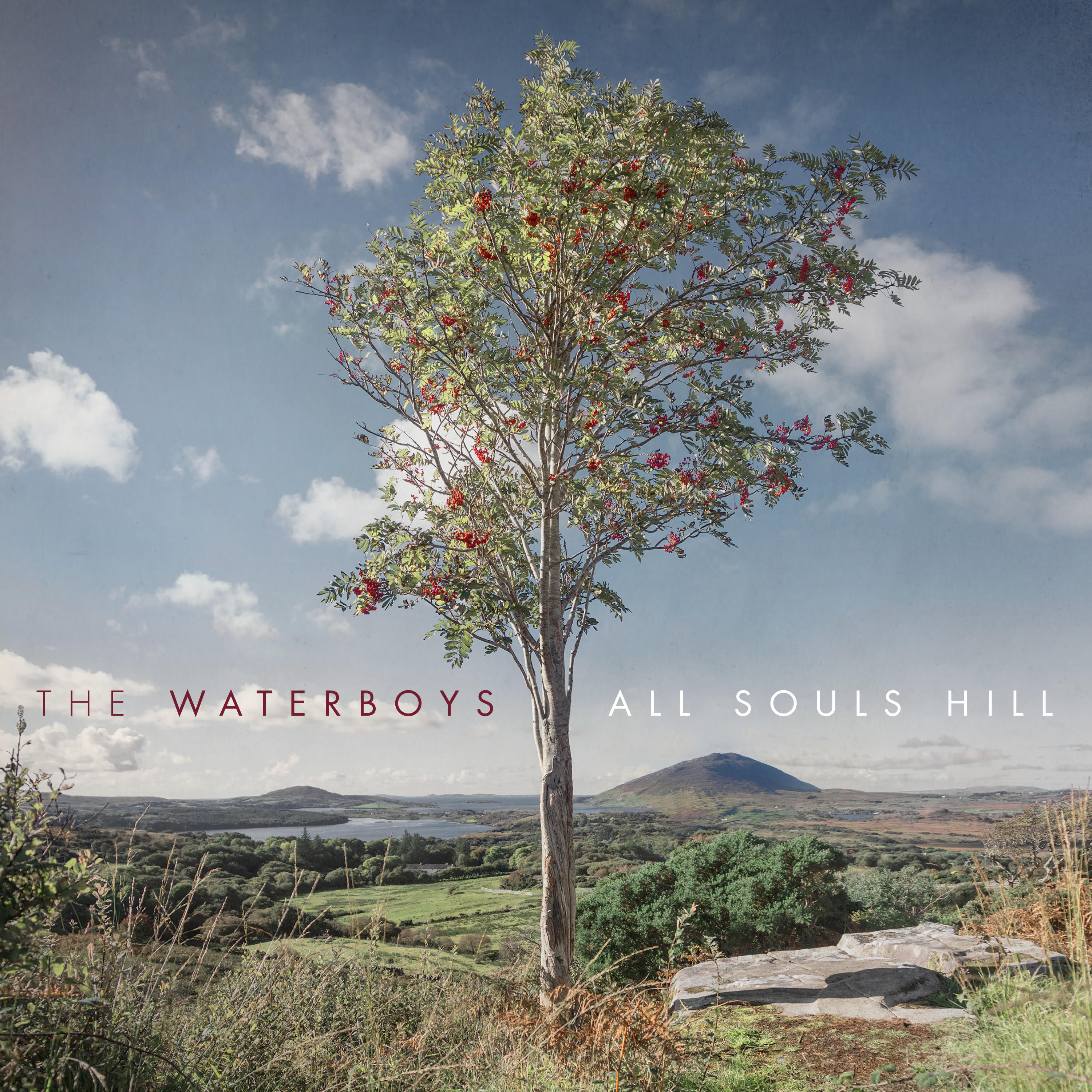 WATERBOYS THE - ALL SOULS HILL (RED VINYL) (Vinyl)