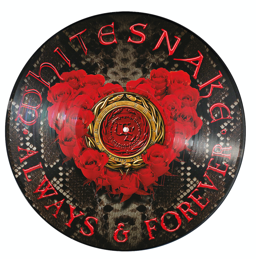 WHITESNAKE - ALWAYS & FOREVER (LTD ED PICTURE DISC) (Vinyl)
