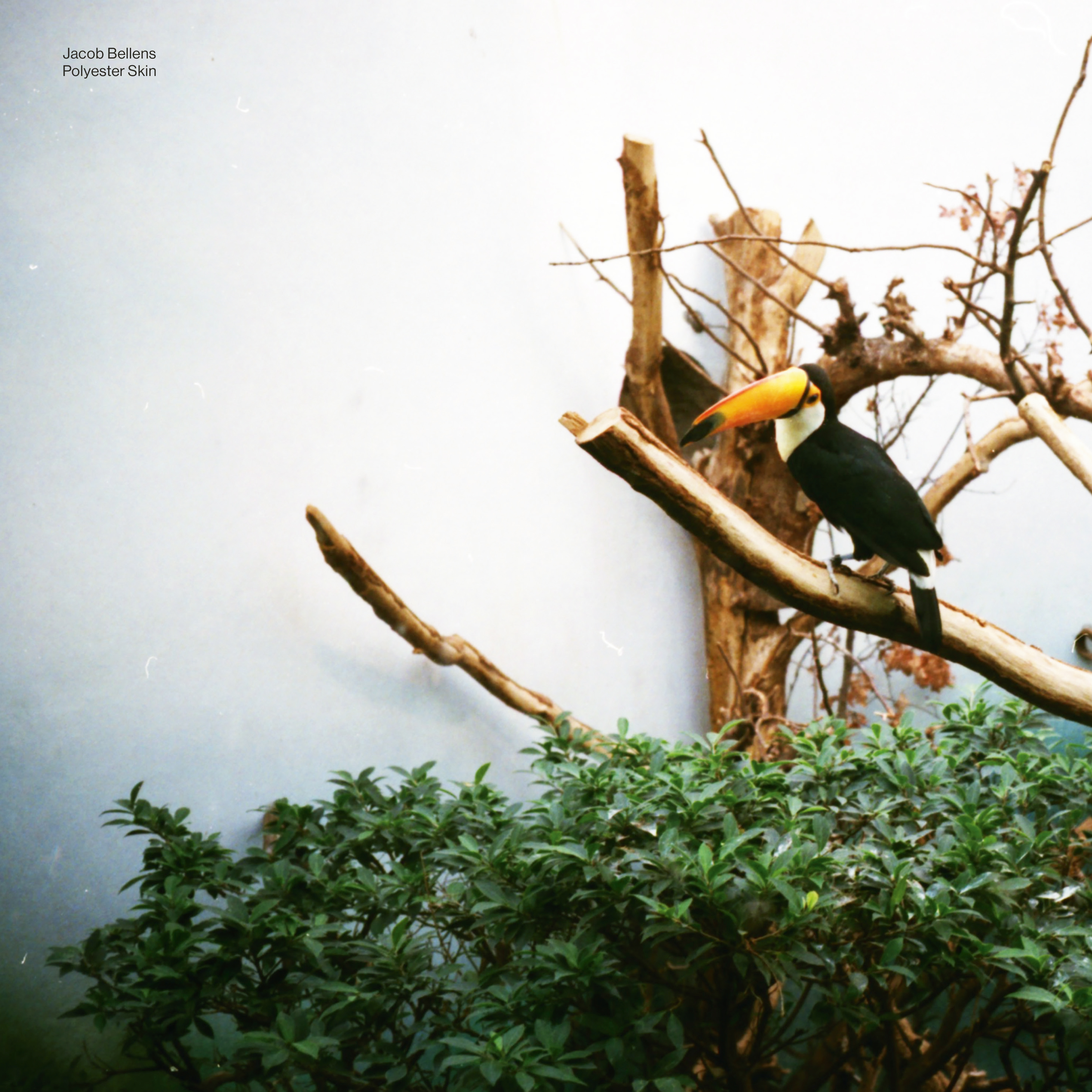 JACOB BELLENS - POLYESTER SKIN (Vinyl)