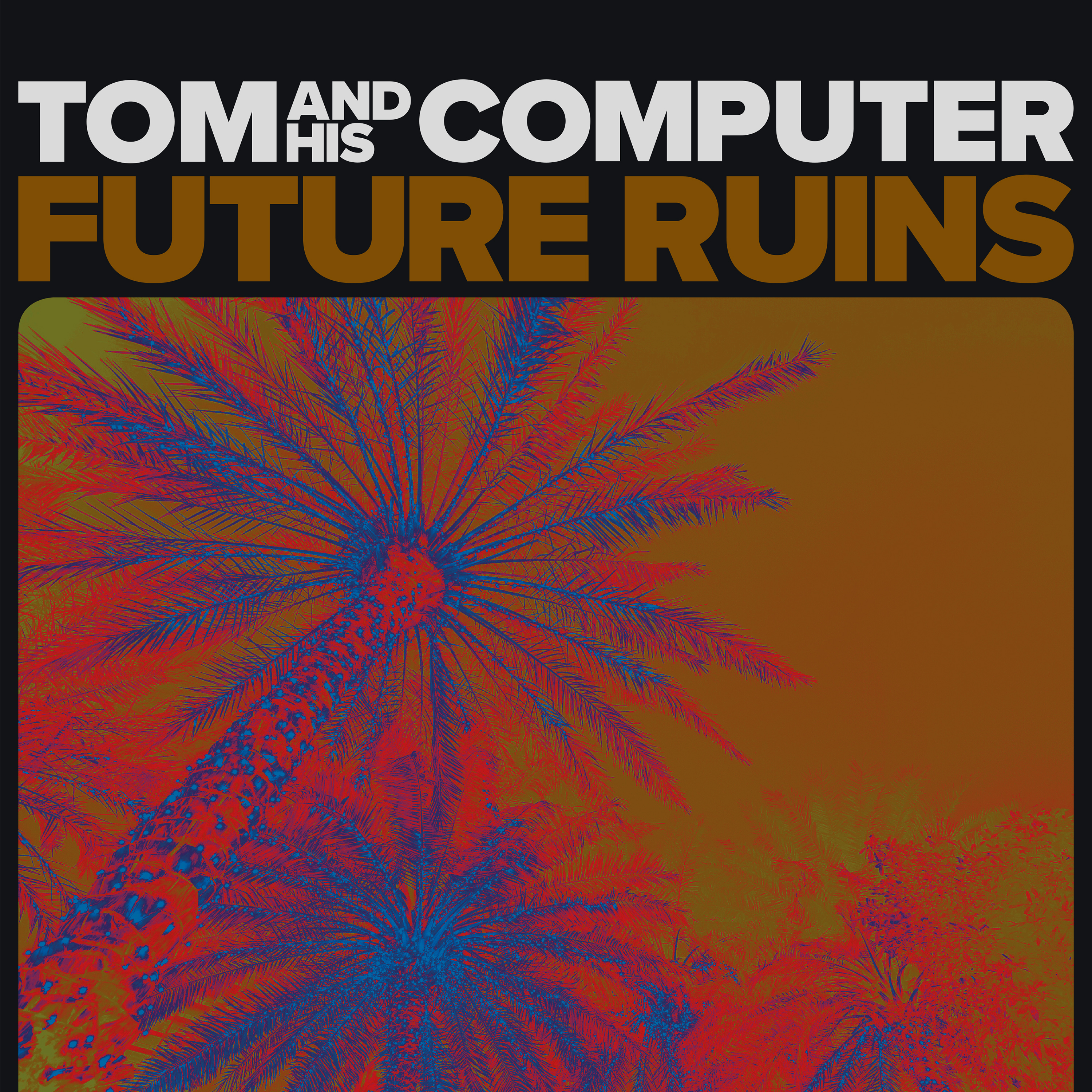 TOM AND HIS COMPUTER - FUTURE RUINS (Vinyl)
