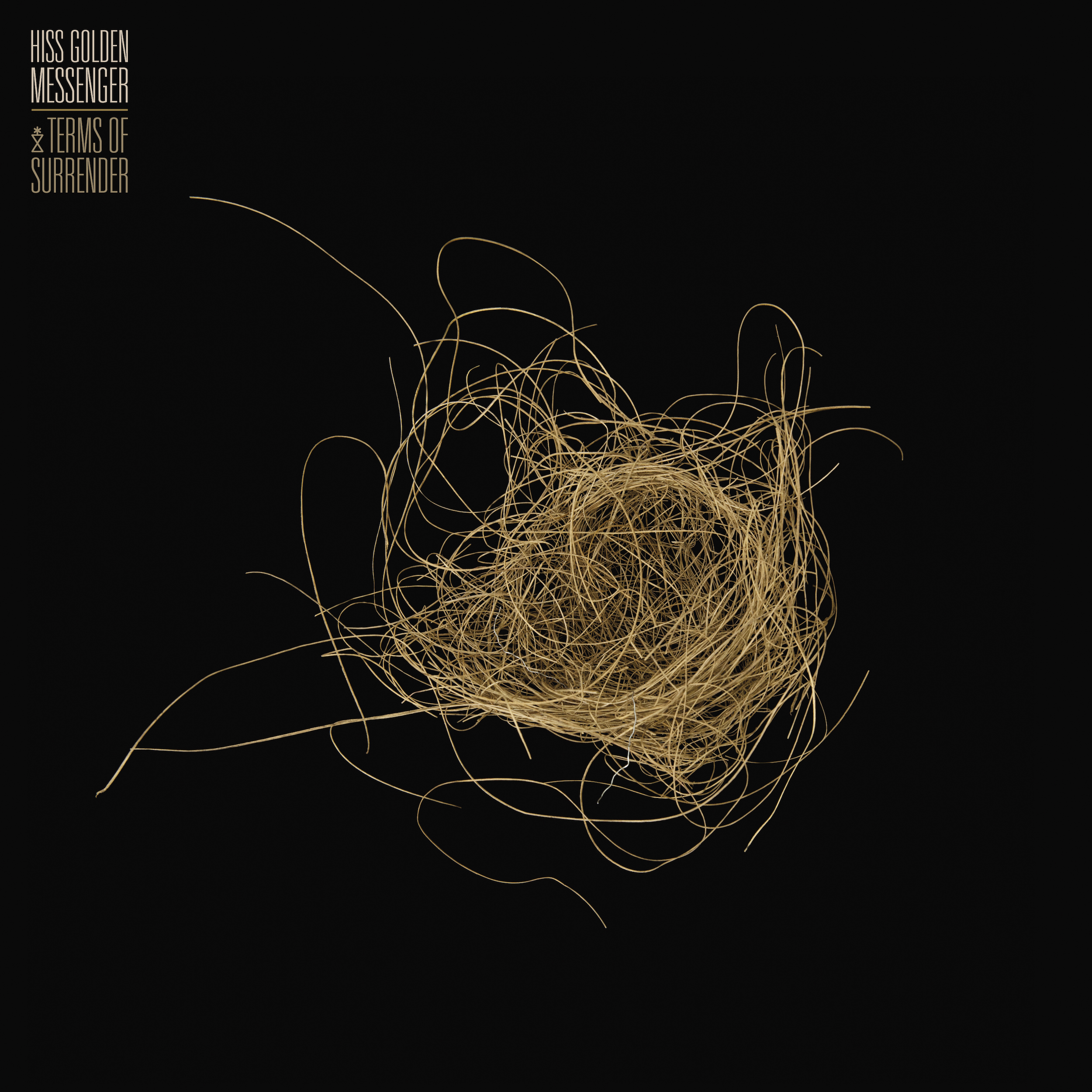 HISS GOLDEN MESSENGER - TERMS OF SURRENDER (CD)
