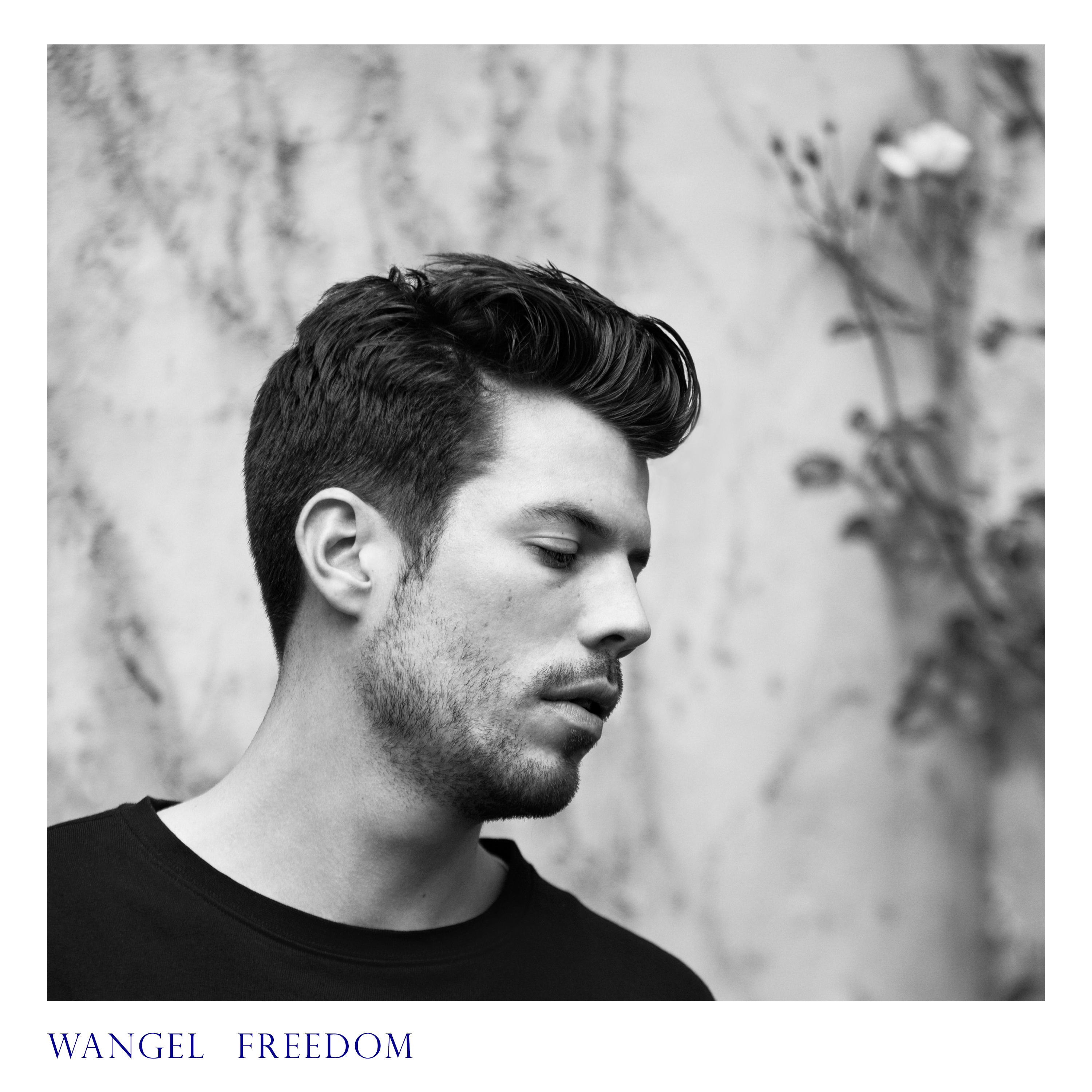 WANGEL - FREEDOM (Vinyl)