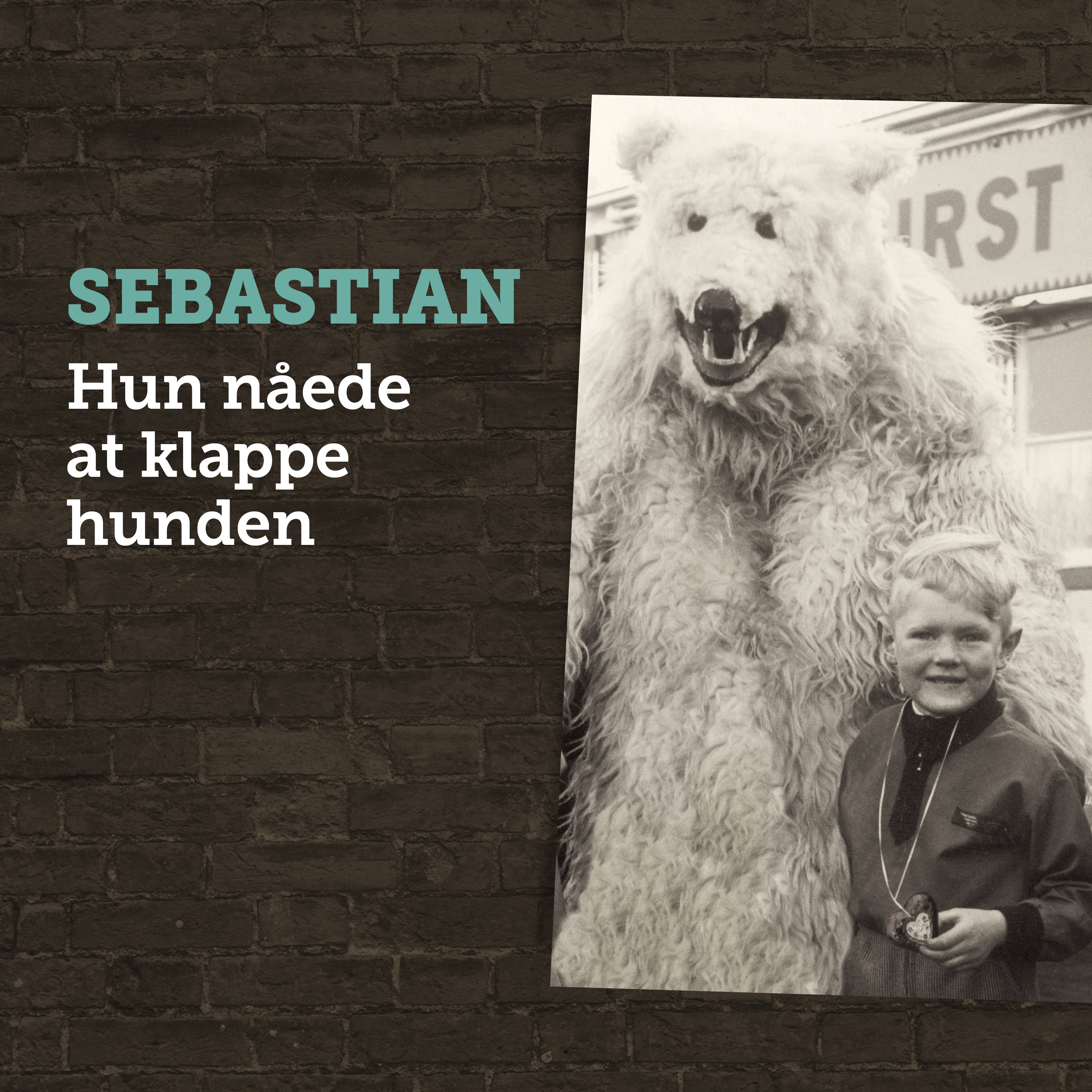 SEBASTIAN - HUN NÅEDE AT KLAPPE HUNDEN (CD)