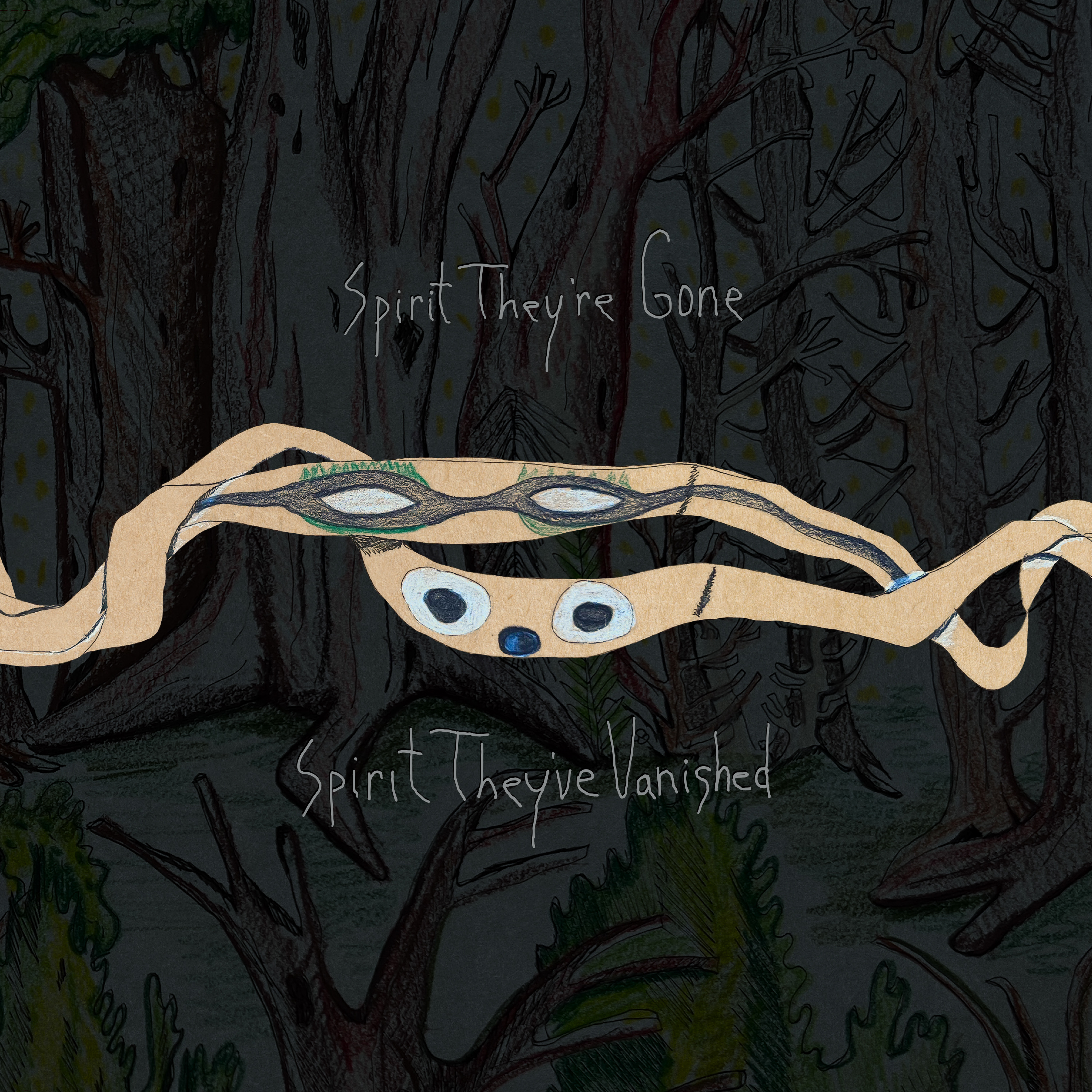 ANIMAL COLLECTIVE - SPIRIT THEY'RE GONE, SPIRIT THEY'VE VANISHED (GRASS GREEN VINYL) (Vinyl)