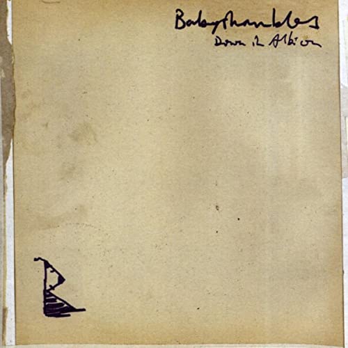 BABYSHAMBLES - DOWN IN ALBION (Vinyl)