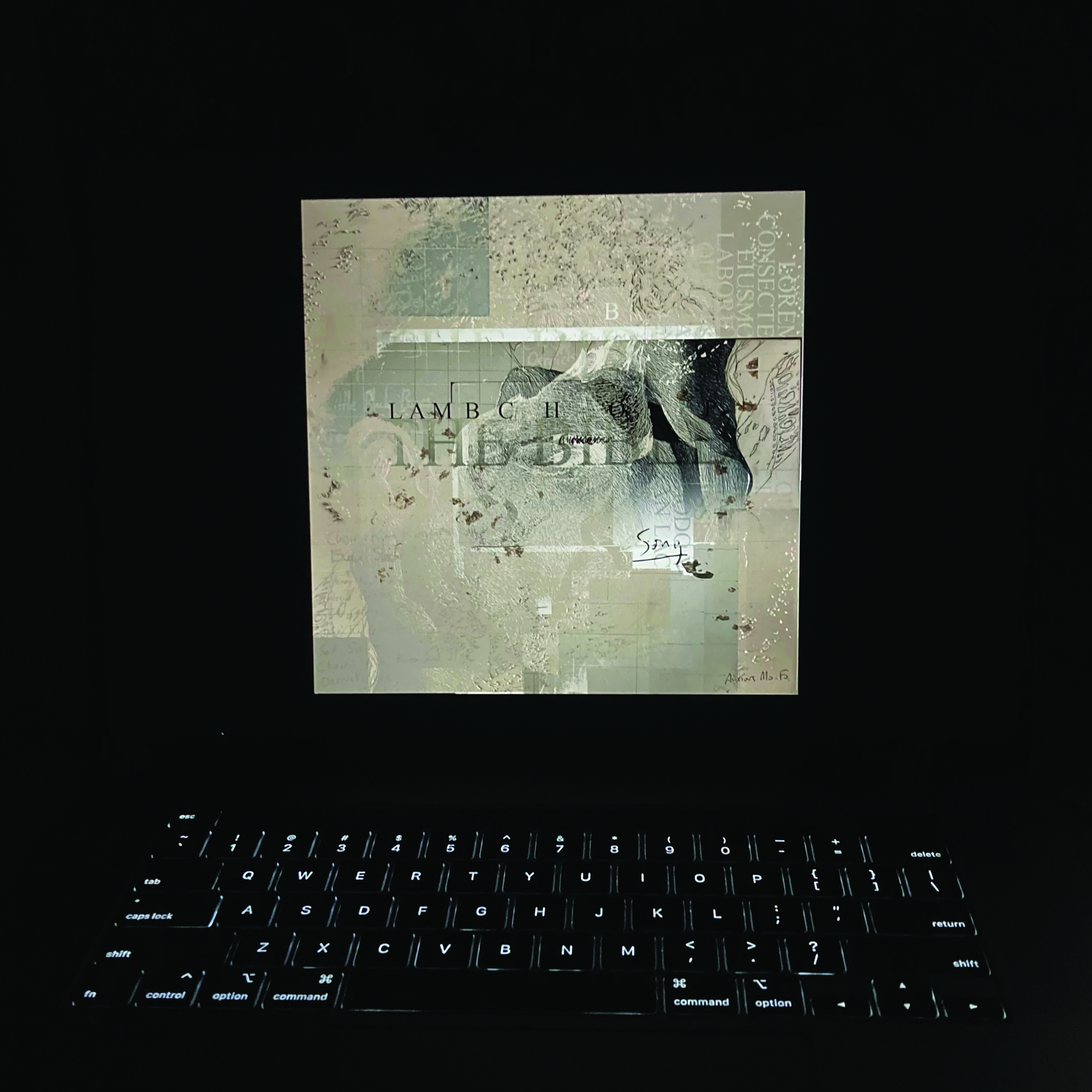 LAMBCHOP - THE BIBLE (Vinyl)