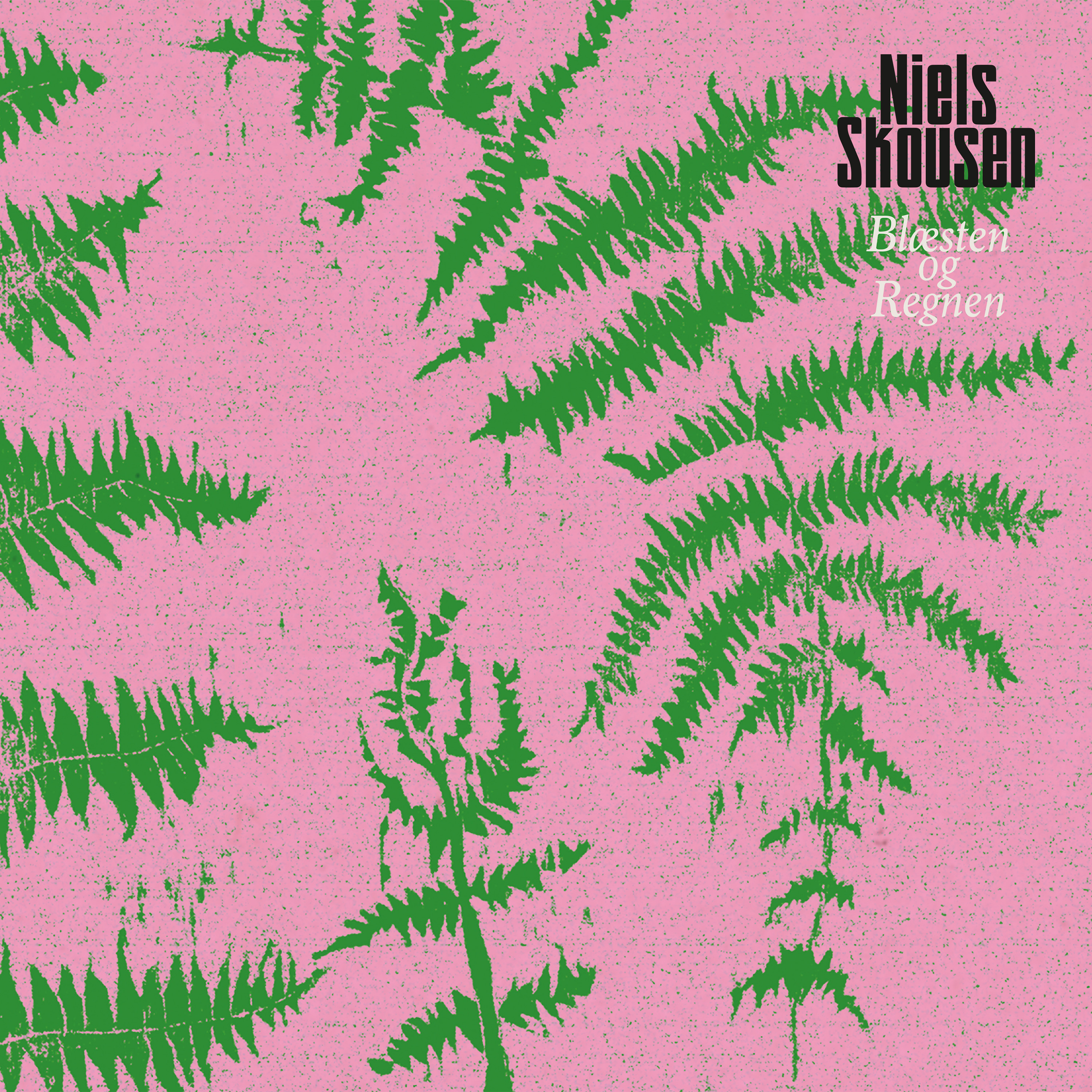 NIELS SKOUSEN - BLÆSTEN OG REGNEN (CD)