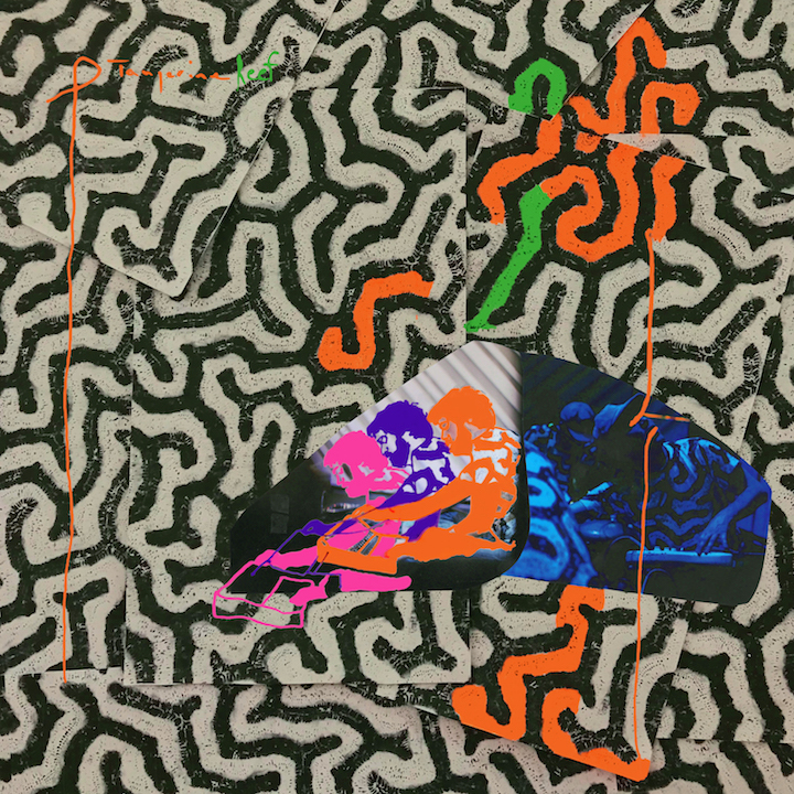 ANIMAL COLLECTIVE - TANGERINE REEF (Vinyl)