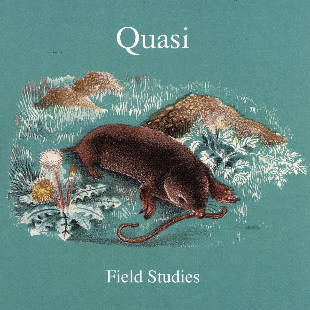 QUASI - FIELD STUDIES (REISSUE) (Vinyl)