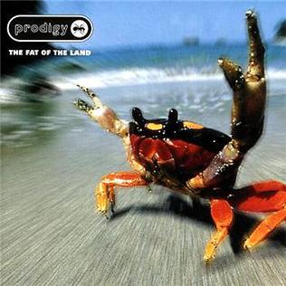 PRODIGY THE - FAT OF THE LAND (REISSUE) (Vinyl)