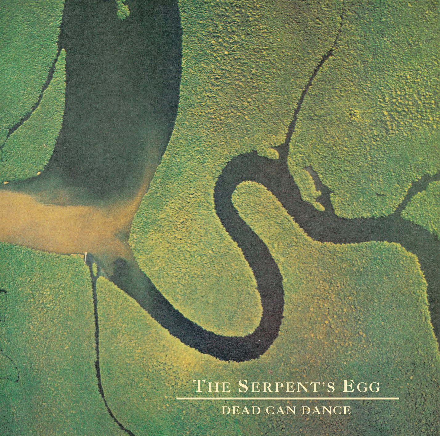 Dead Can Dance - The Serpent's Egg  (Remastered) - CD