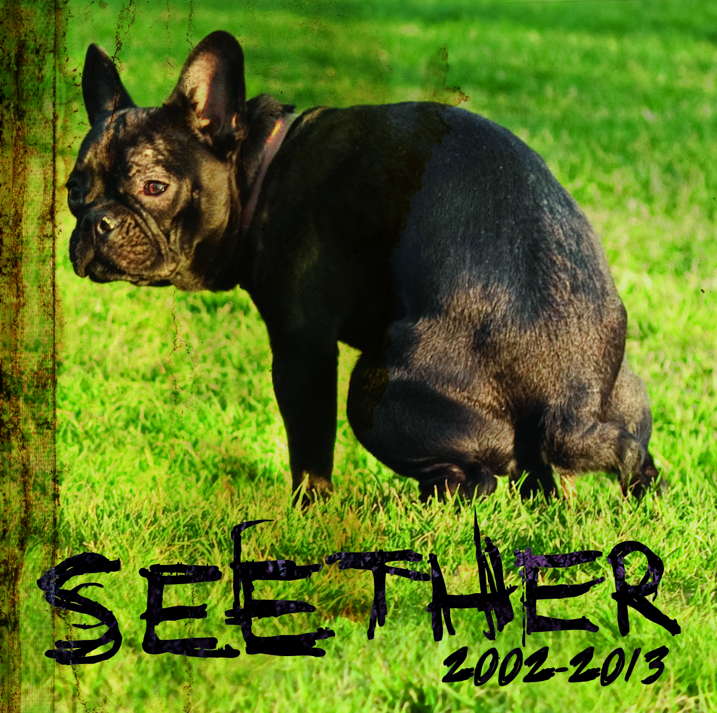 Seether - Seether: 2002 - 2013 - 2xCD