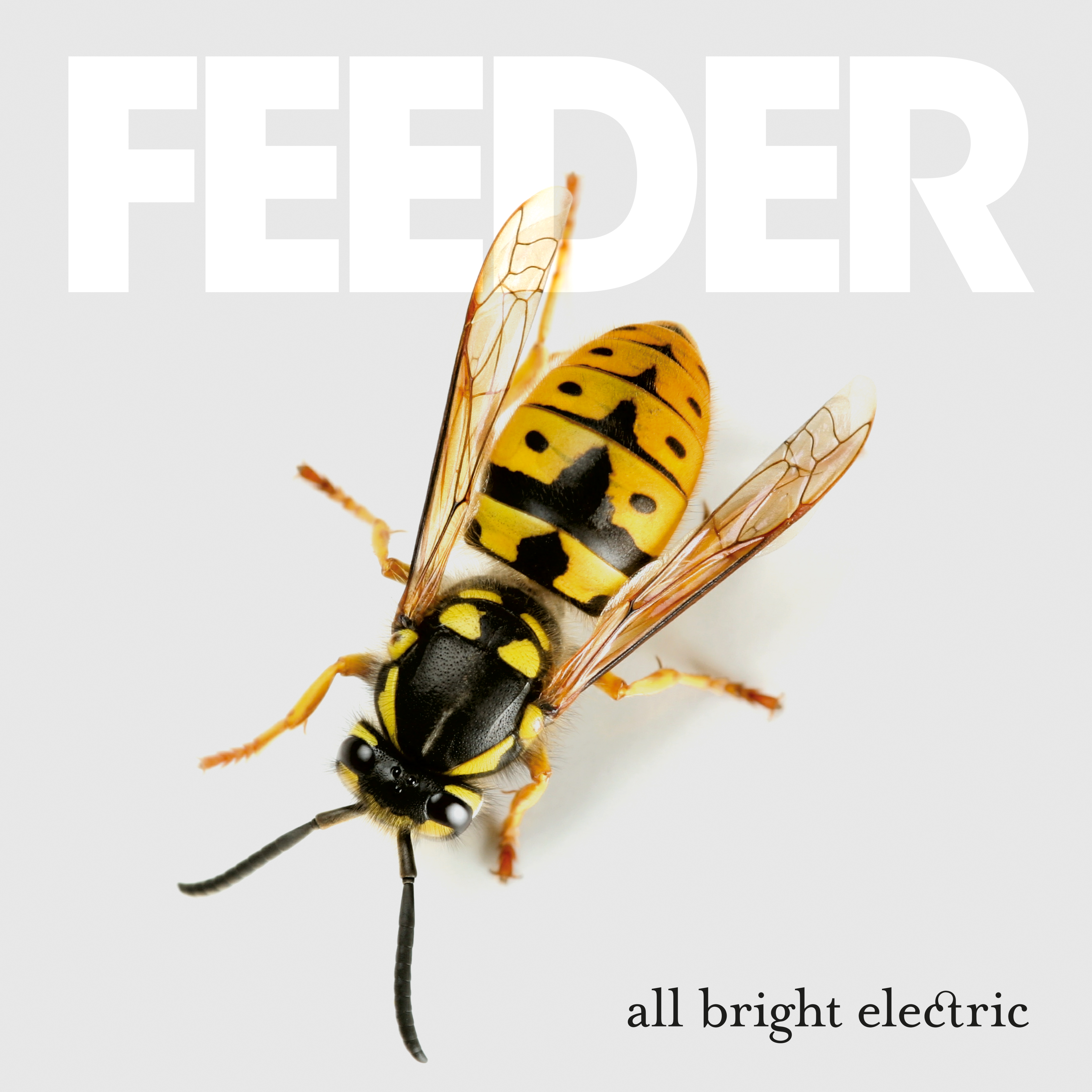 Feeder - All Bright Electric - CD