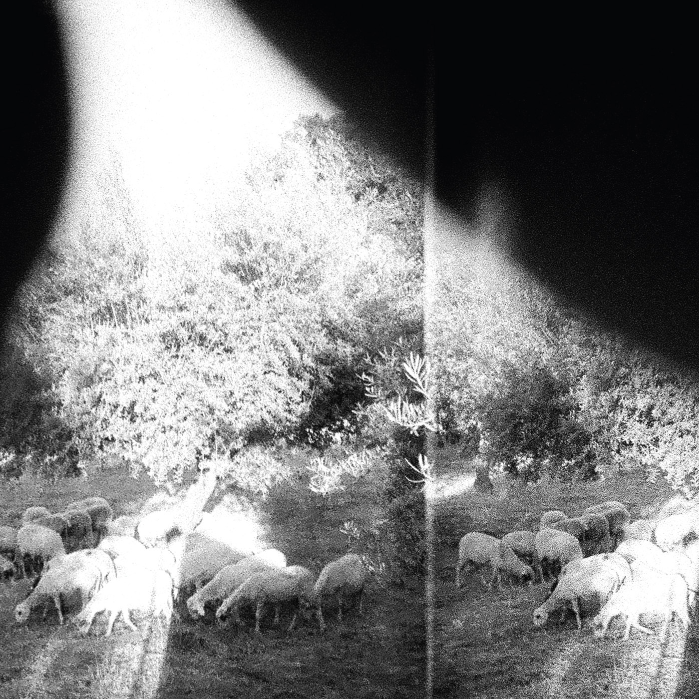 Godspeed You! Black Emperor - Asunder, Sweet And Other Distress - CD
