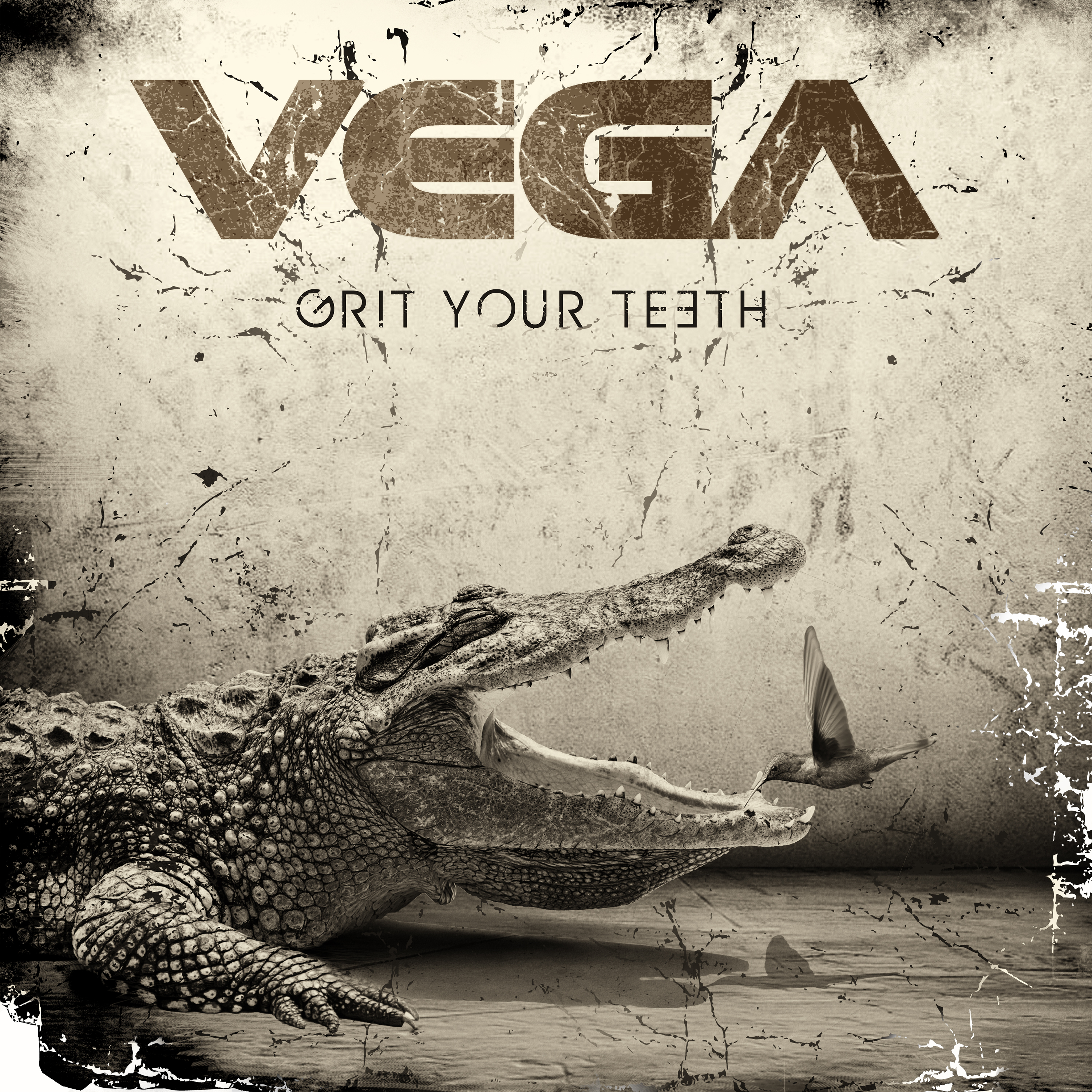 Vega - Grit Your Teeth - CD