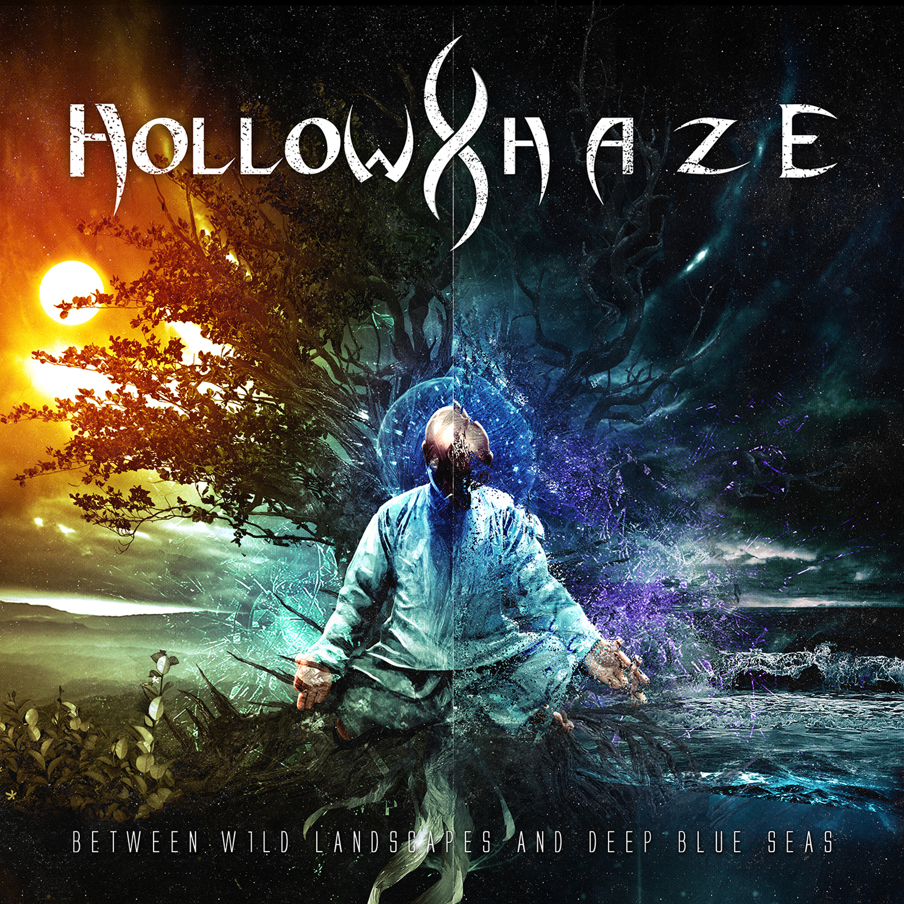 Hollow Haze - Between Wild Landscapes And Deep Bl - CD