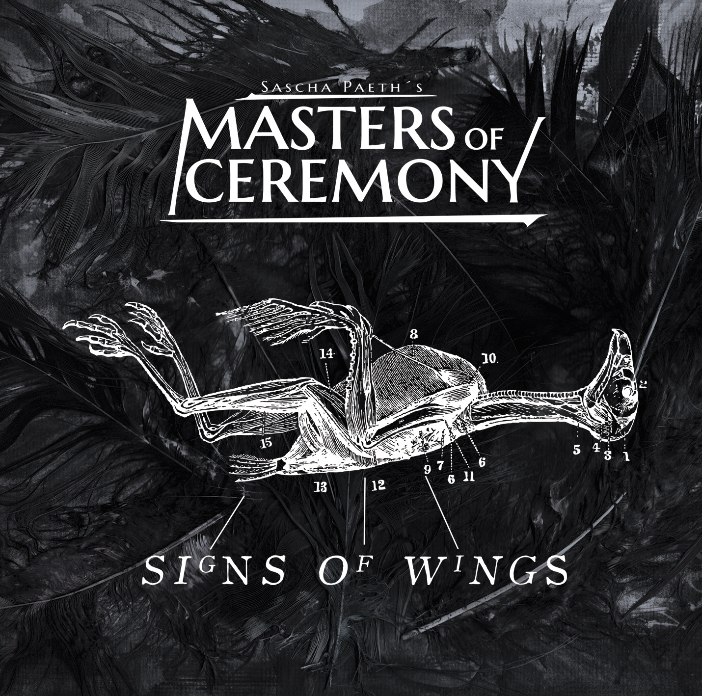 Sascha Paeth's Masters of Ceremony - Signs Of Wings - CD