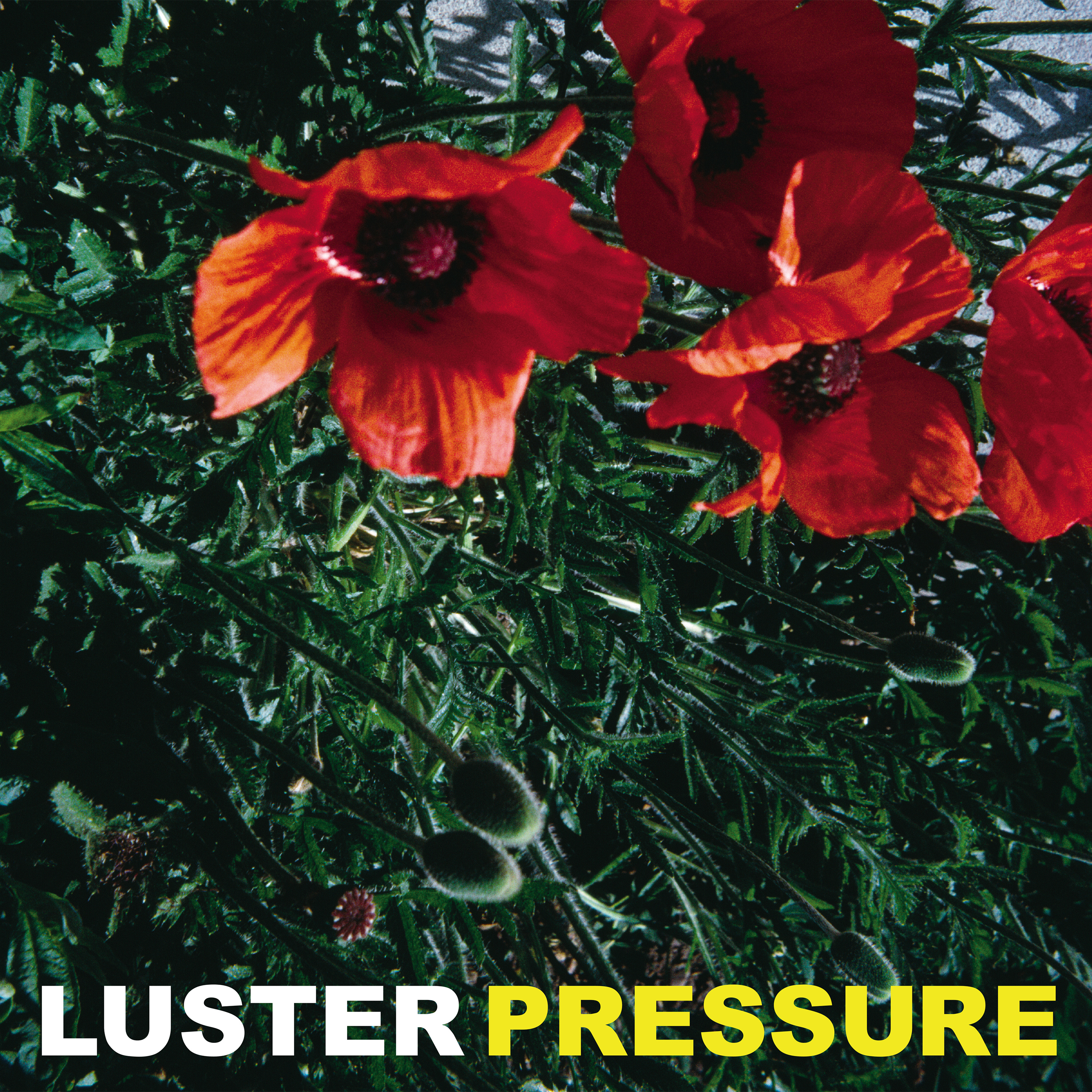 Luster - Pressure
