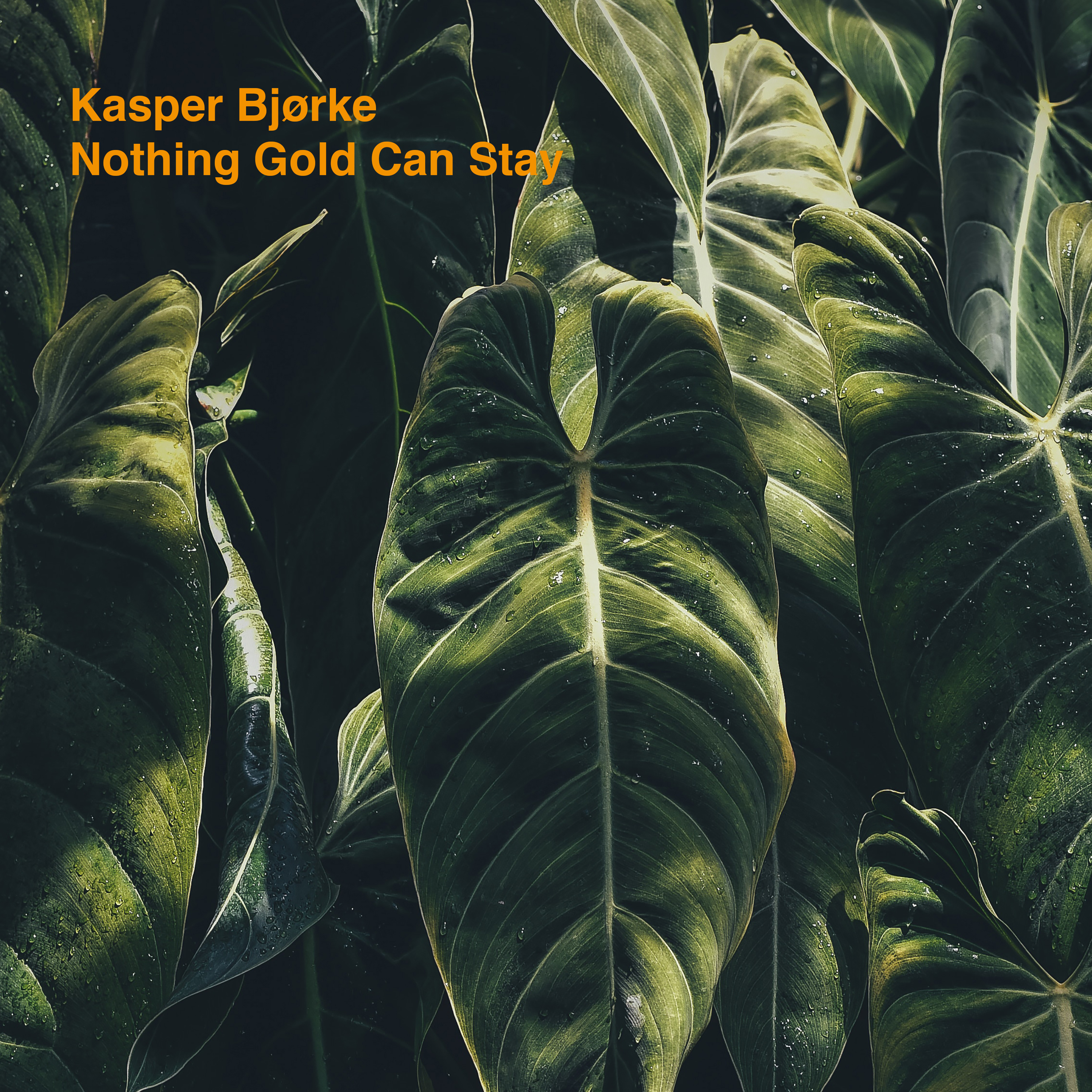 Kasper Bj rke - Nothing Gold Can Stay