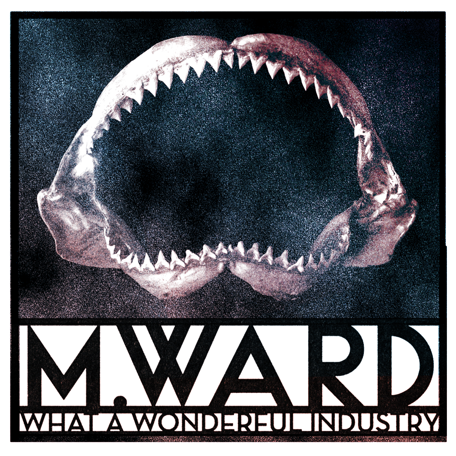 M Ward - What A Wonderful Industry - CD