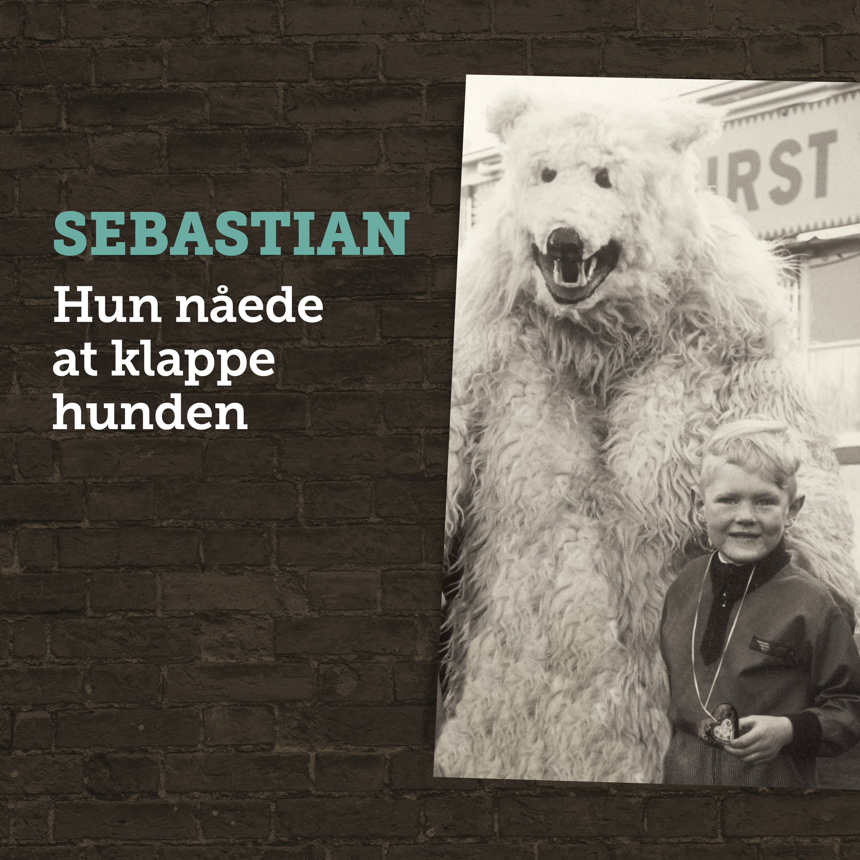 Sebastian - Hun Nåede At Klappe Hunden (Vinyl)