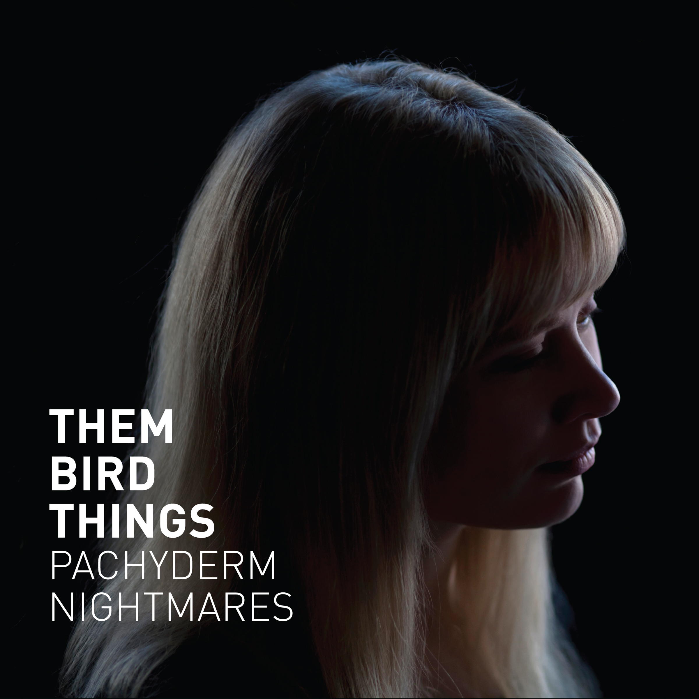 Them Bird Things - Pachyderm Nightmares - CD