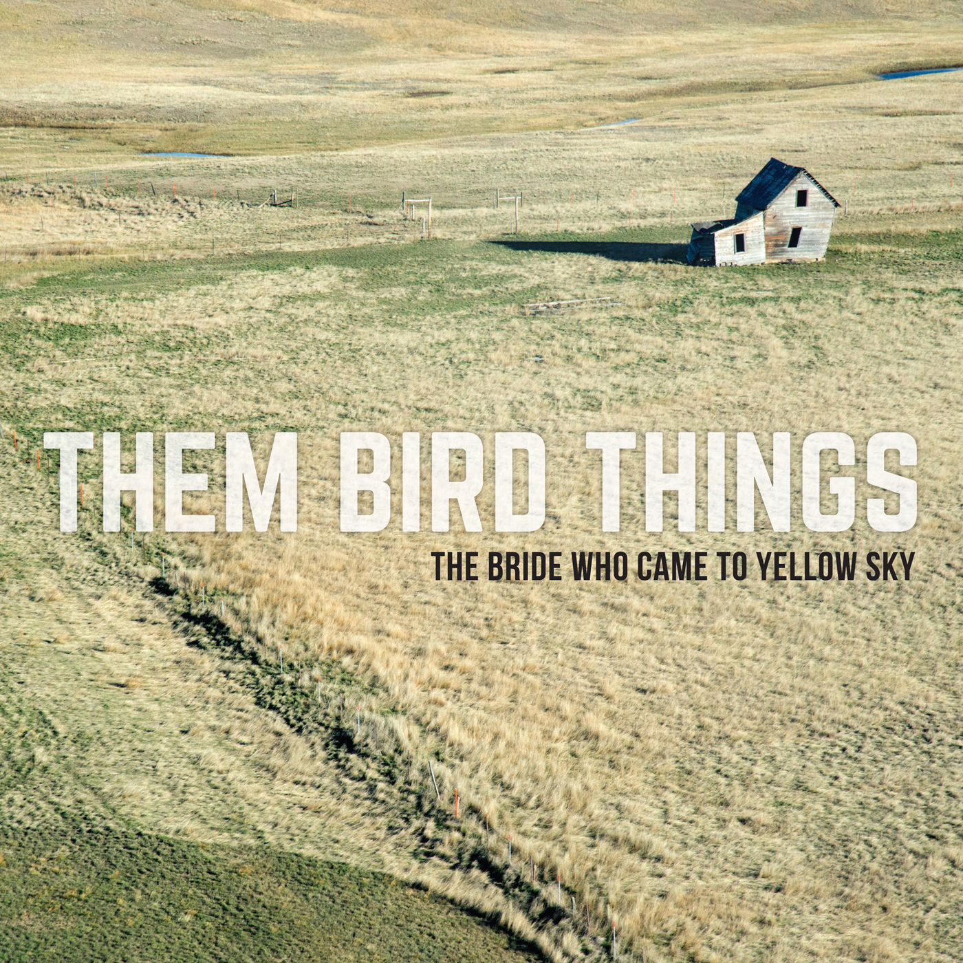 Them Bird Things - The Bride Who Came to Yellow Sky - CD