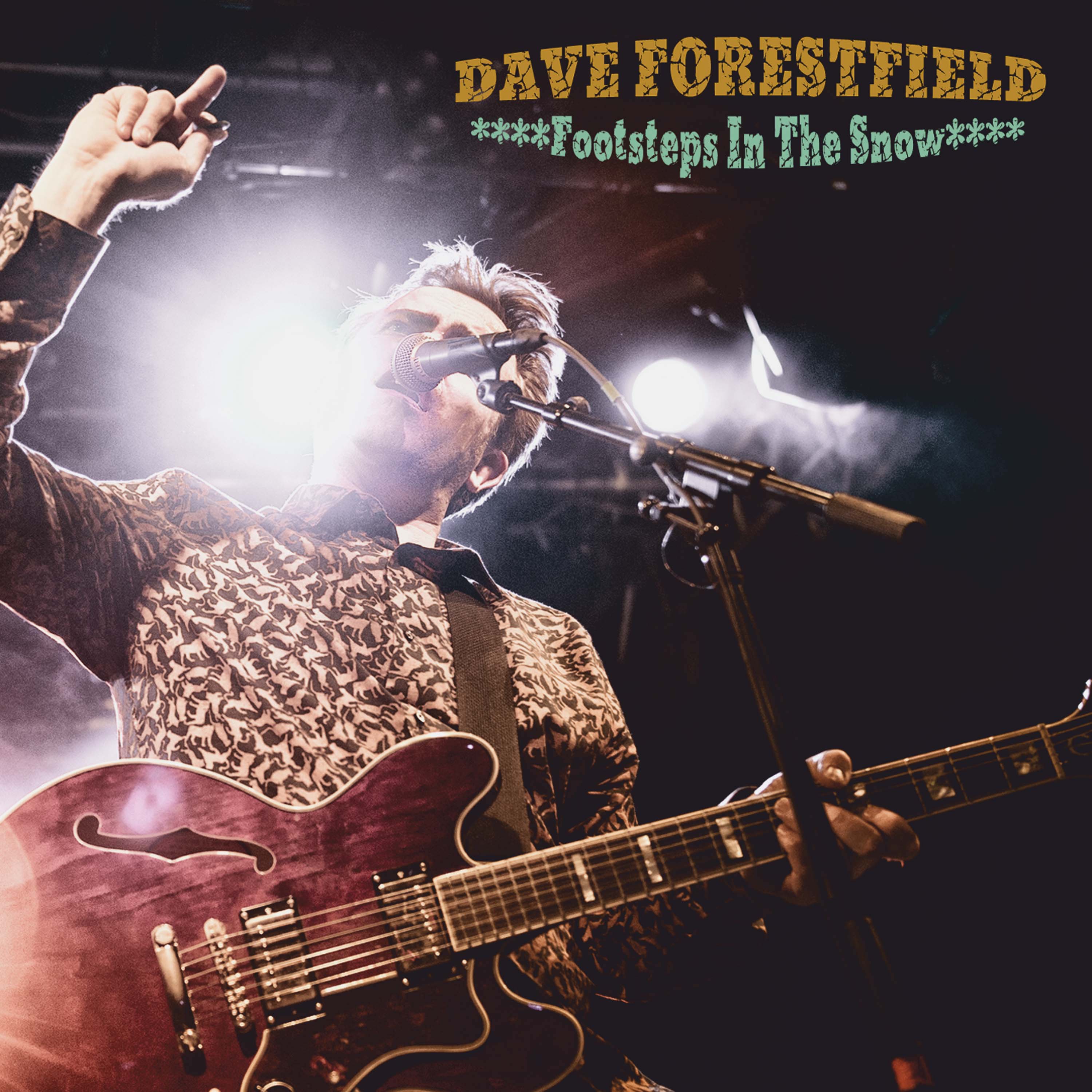 Dave Forestfield - Footsteps In The Snow - CD
