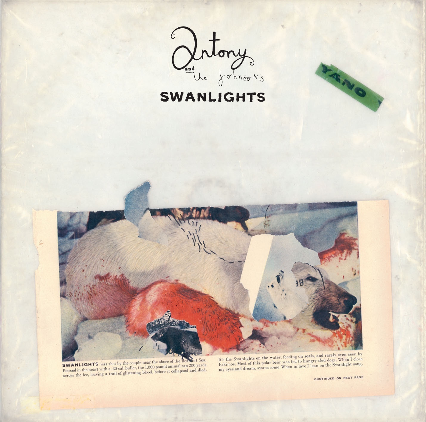 Antony & The Johnsons - Swanlights - CD