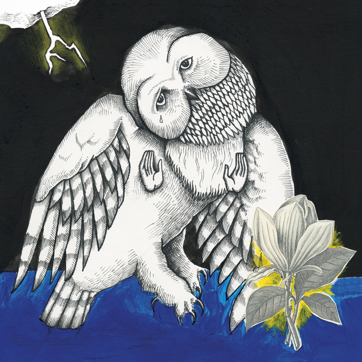Songs: Ohia - The Magnolia Electric Co (2CD Delux - 2xCD