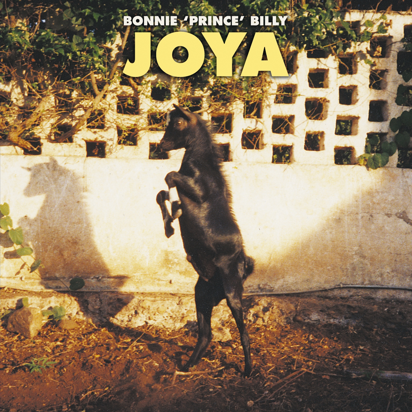 Bonnie 'Prince' Billy - Joya - CD
