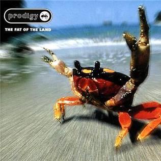 The Prodigy - The Fat of The Land - CD