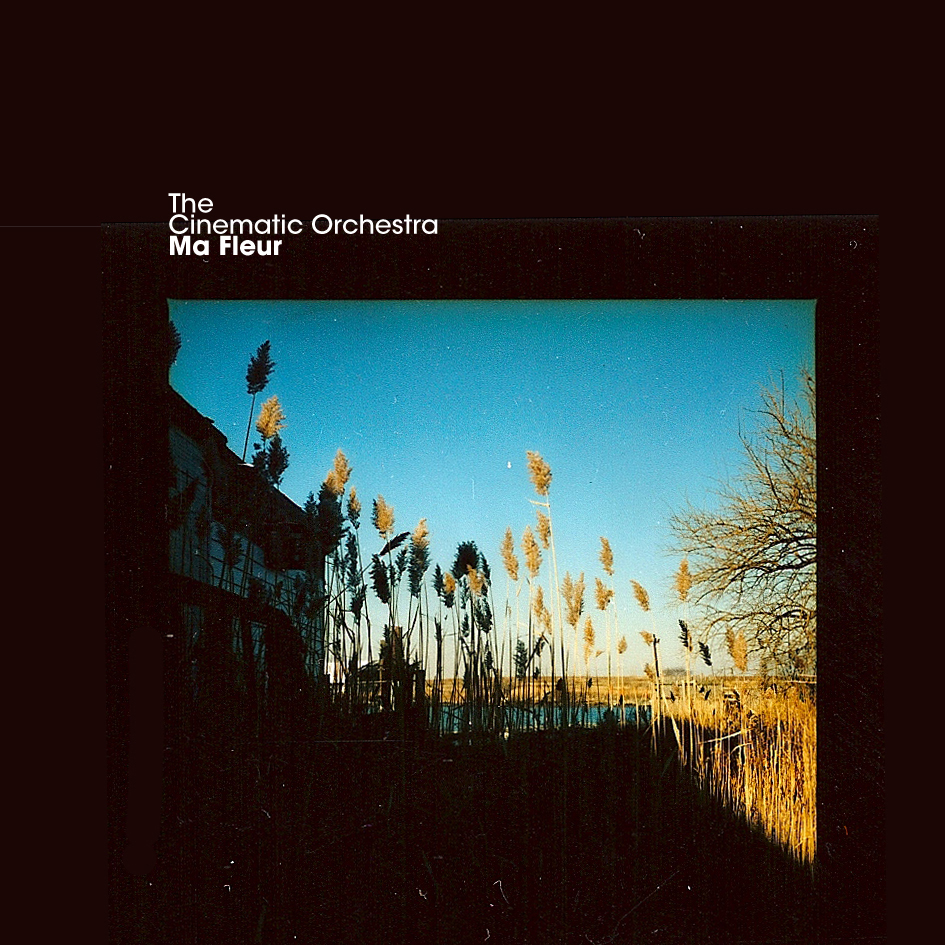 The Cinematic Orchestra - Ma Fleur - CD